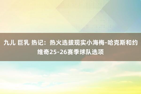 九儿 巨乳 热记:热火选拔现实小海梅-哈克斯和约维奇25-26赛季球队选项
