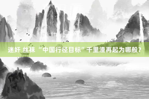 迷奸 丝袜 “中国行径目标”千里渣再起为哪般?