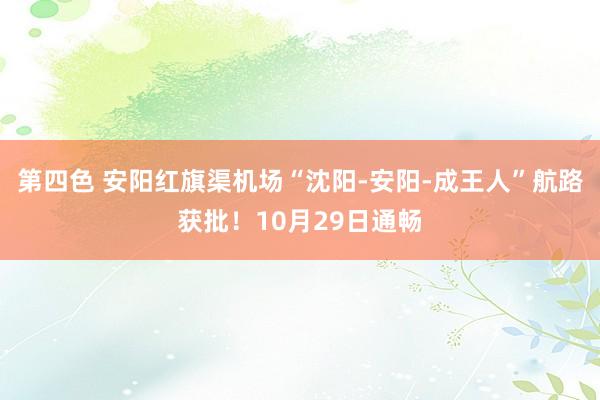第四色 安阳红旗渠机场“沈阳-安阳-成王人”航路获批！10月29日通畅
