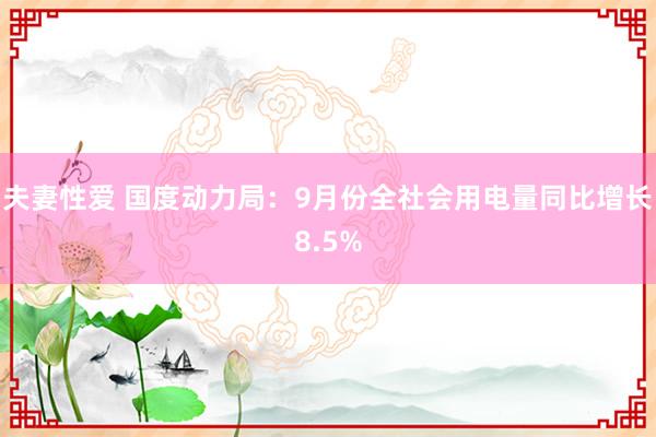 夫妻性爱 国度动力局：9月份全社会用电量同比增长8.5%