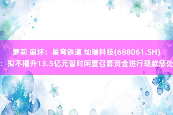 萝莉 崩坏:星穹铁道 灿瑞科技(688061.SH):拟不擢升13.5亿元暂时闲置召募资金进行现款惩处