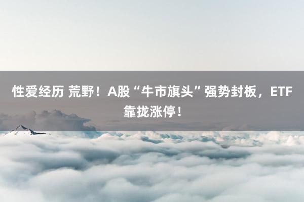 性爱经历 荒野！A股“牛市旗头”强势封板，ETF靠拢涨停！