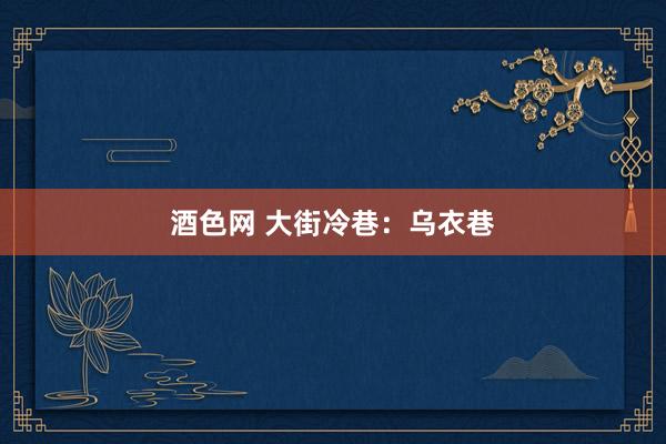酒色网 大街冷巷：乌衣巷