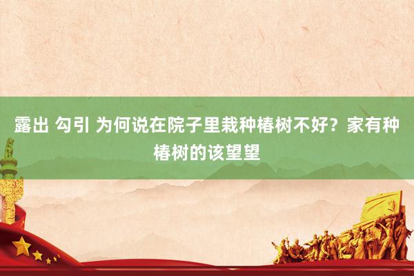 露出 勾引 为何说在院子里栽种椿树不好？家有种椿树的该望望
