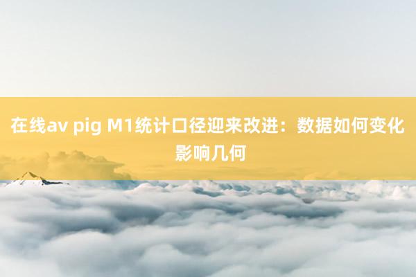 在线av pig M1统计口径迎来改进：数据如何变化 影响几何