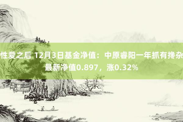 性爱之后 12月3日基金净值：中原睿阳一年抓有搀杂最新净值0.897，涨0.32%
