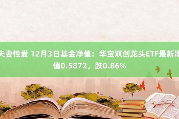 夫妻性爱 12月3日基金净值：华宝双创龙头ETF最新净值0.5872，跌0.86%