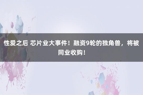 性爱之后 芯片业大事件！融资9轮的独角兽，将被同业收购！