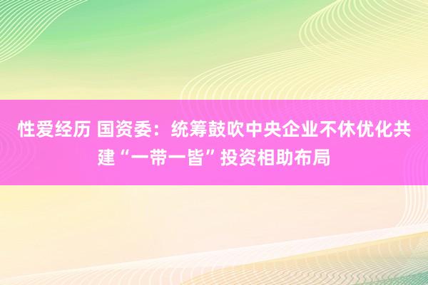 性爱经历 国资委：统筹鼓吹中央企业不休优化共建“一带一皆”投资相助布局