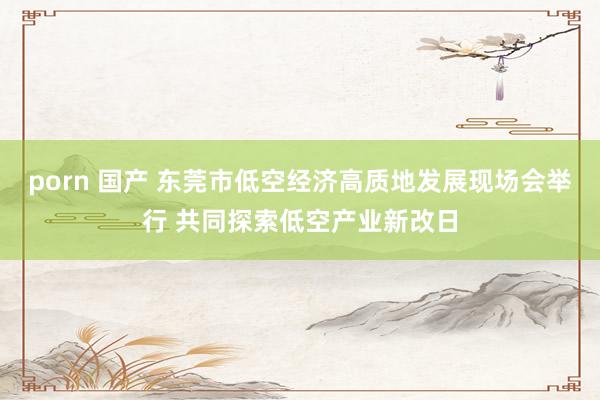 porn 国产 东莞市低空经济高质地发展现场会举行 共同探索低空产业新改日
