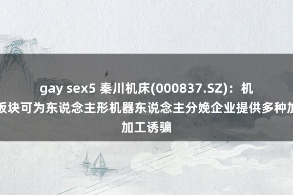 gay sex5 秦川机床(000837.SZ)：机床业务板块可为东说念主形机器东说念主分娩企业提供多种加工诱骗