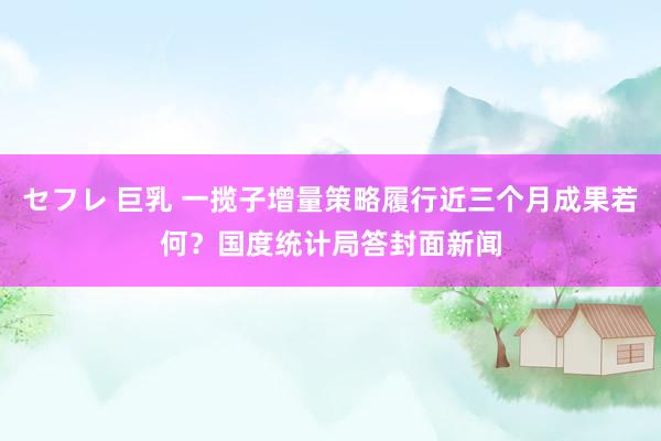 セフレ 巨乳 一揽子增量策略履行近三个月成果若何？国度统计局答封面新闻