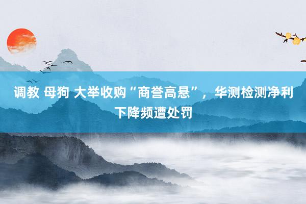 调教 母狗 大举收购“商誉高悬”，华测检测净利下降频遭处罚