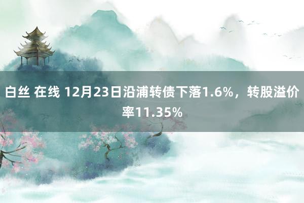 白丝 在线 12月23日沿浦转债下落1.6%，转股溢价率11.35%