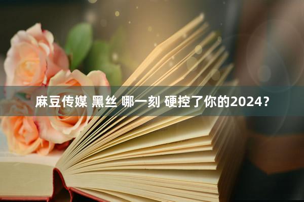 麻豆传媒 黑丝 哪一刻 硬控了你的2024？
