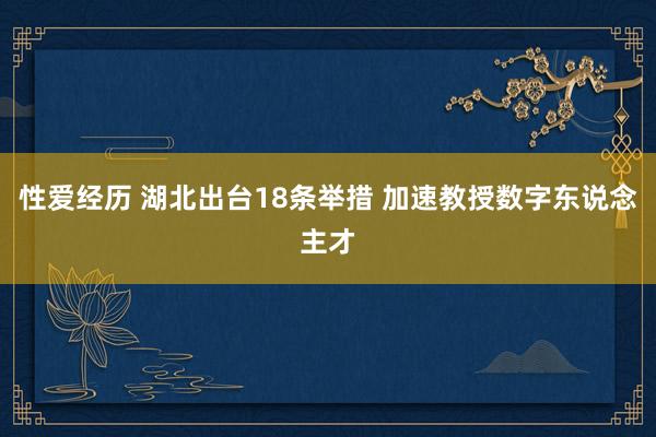 性爱经历 湖北出台18条举措 加速教授数字东说念主才