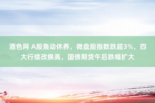 酒色网 A股轰动休养，微盘股指数跌超3%，四大行续改换高，国债期货午后跌幅扩大