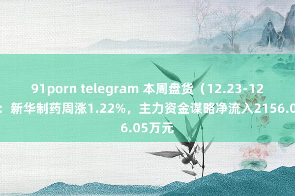91porn telegram 本周盘货（12.23-12.27）：新华制药周涨1.22%，主力资金谋略净流入2156.05万元