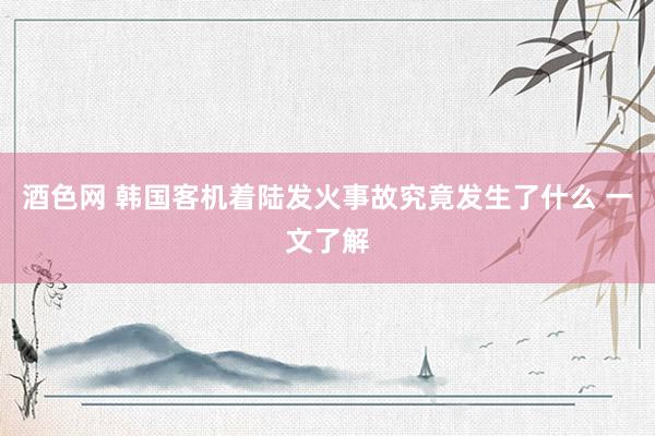 酒色网 韩国客机着陆发火事故究竟发生了什么 一文了解