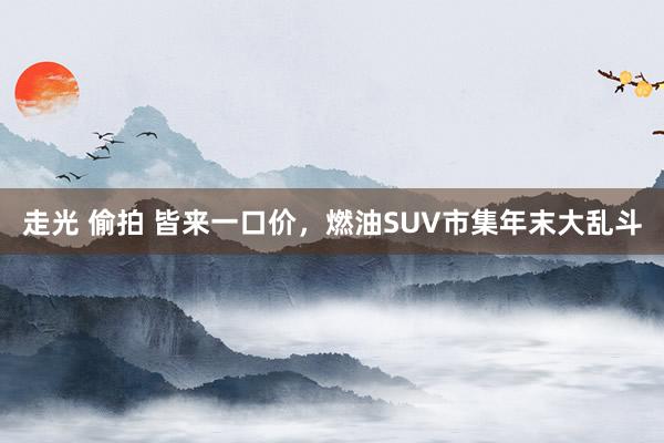 走光 偷拍 皆来一口价，燃油SUV市集年末大乱斗