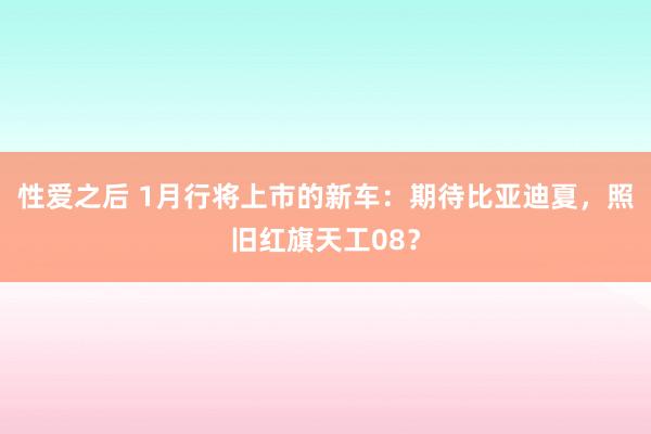 性爱之后 1月行将上市的新车：期待比亚迪夏，照旧红旗天工08？