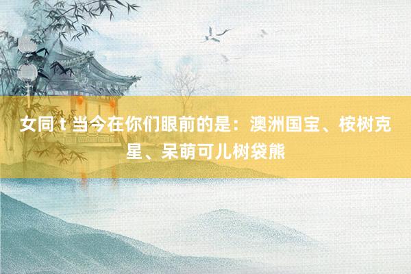 女同 t 当今在你们眼前的是：澳洲国宝、桉树克星、呆萌可儿树袋熊