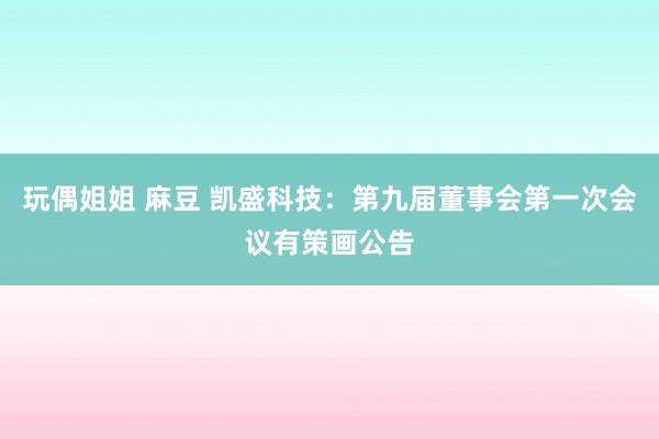 玩偶姐姐 麻豆 凯盛科技：第九届董事会第一次会议有策画公告