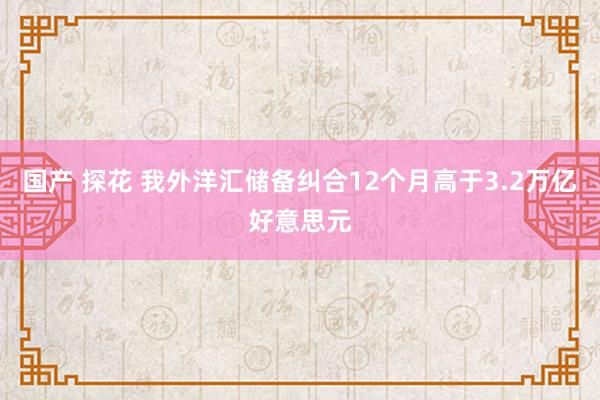 国产 探花 我外洋汇储备纠合12个月高于3.2万亿好意思元