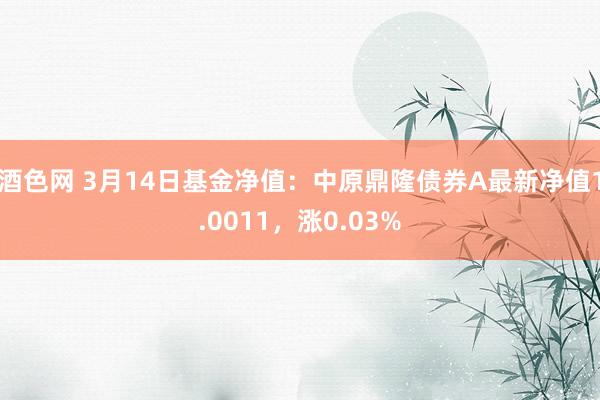 酒色网 3月14日基金净值：中原鼎隆债券A最新净值1.0011，涨0.03%