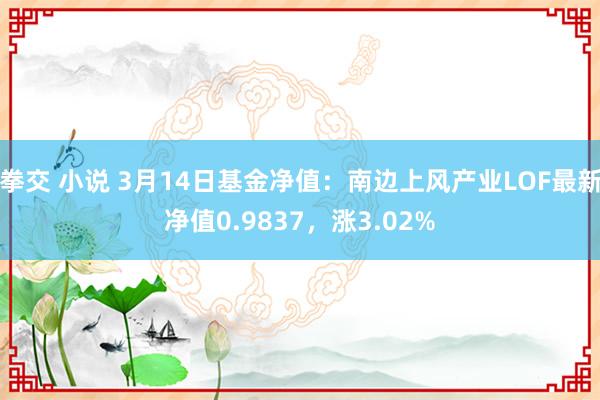 拳交 小说 3月14日基金净值：南边上风产业LOF最新净值0.9837，涨3.02%