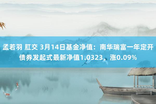 孟若羽 肛交 3月14日基金净值：南华瑞富一年定开债券发起式最新净值1.0323，涨0.09%