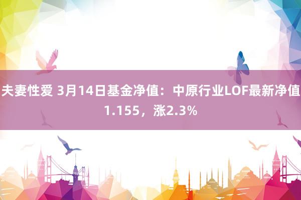 夫妻性爱 3月14日基金净值：中原行业LOF最新净值1.155，涨2.3%