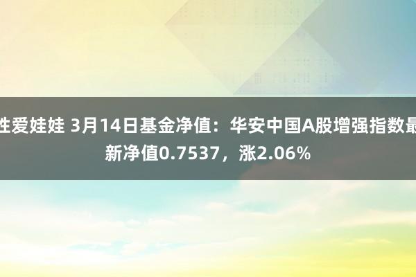 性爱娃娃 3月14日基金净值：华安中国A股增强指数最新净值0.7537，涨2.06%