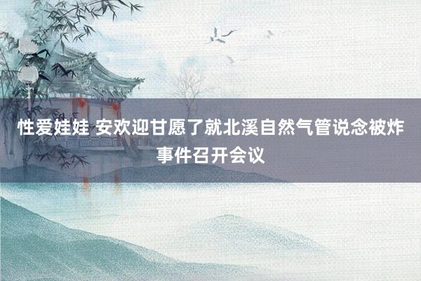 性爱娃娃 安欢迎甘愿了就北溪自然气管说念被炸事件召开会议
