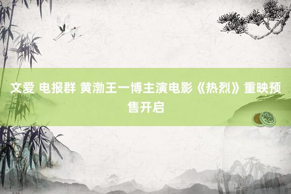 文爱 电报群 黄渤王一博主演电影《热烈》重映预售开启