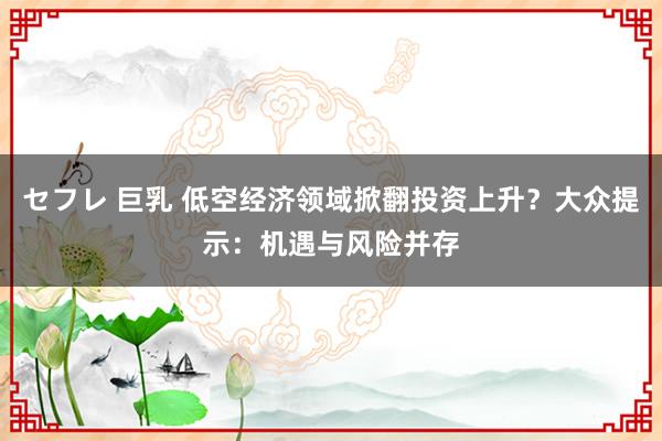 セフレ 巨乳 低空经济领域掀翻投资上升？大众提示：机遇与风险并存