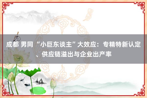 成都 男同 “小巨东谈主”大效应：专精特新认定、供应链溢出与企业出产率