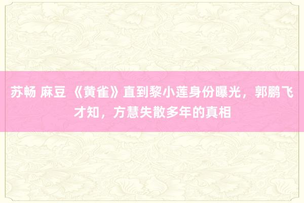 苏畅 麻豆 《黄雀》直到黎小莲身份曝光，郭鹏飞才知，方慧失散多年的真相