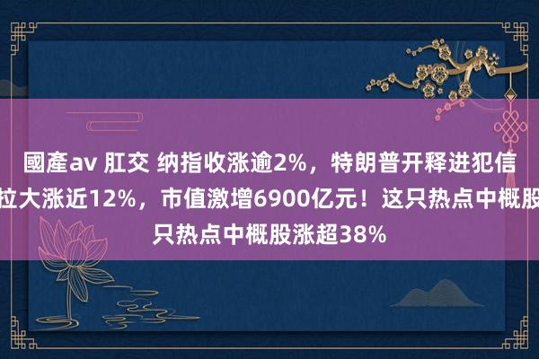 國產av 肛交 纳指收涨逾2%，特朗普开释进犯信号！特斯拉大涨近12%，市值激增6900亿元！这只热点中概股涨超38%