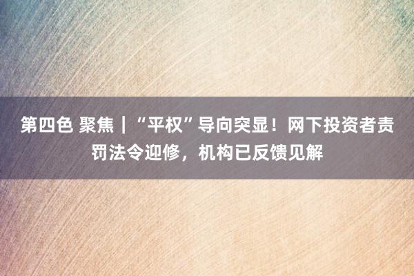 第四色 聚焦｜“平权”导向突显！网下投资者责罚法令迎修，机构已反馈见解