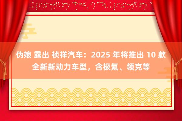 伪娘 露出 祯祥汽车：2025 年将推出 10 款全新新动力车型，含极氪、领克等