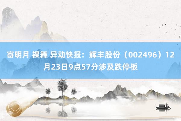寄明月 裸舞 异动快报：辉丰股份（002496）12月23日9点57分涉及跌停板