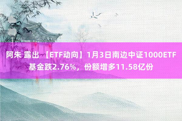 阿朱 露出 【ETF动向】1月3日南边中证1000ETF基金跌2.76%，份额增多11.58亿份