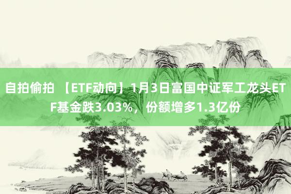 自拍偷拍 【ETF动向】1月3日富国中证军工龙头ETF基金跌3.03%，份额增多1.3亿份