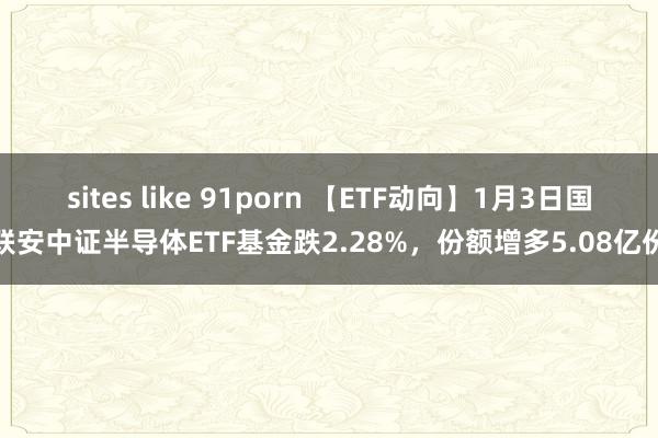 sites like 91porn 【ETF动向】1月3日国联安中证半导体ETF基金跌2.28%，份额增多5.08亿份