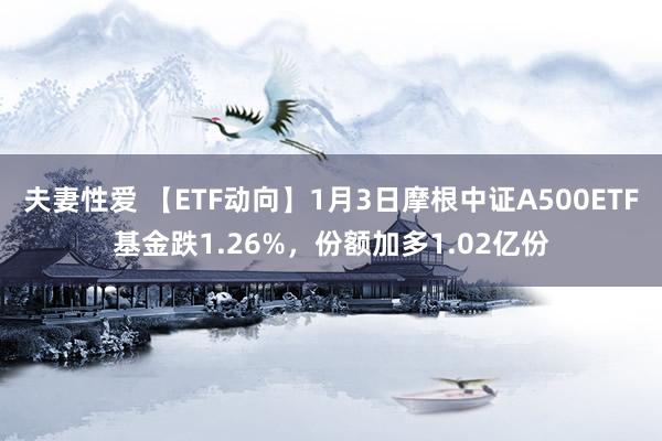 夫妻性爱 【ETF动向】1月3日摩根中证A500ETF基金跌1.26%，份额加多1.02亿份