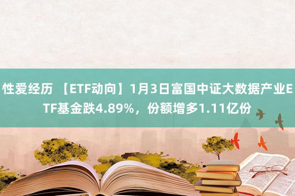性爱经历 【ETF动向】1月3日富国中证大数据产业ETF基金跌4.89%，份额增多1.11亿份