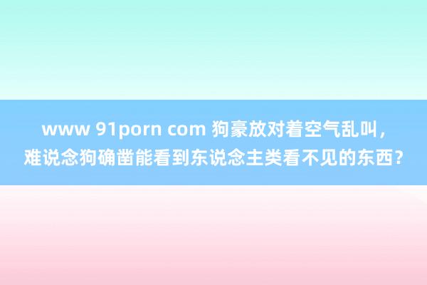 www 91porn com 狗豪放对着空气乱叫，难说念狗确凿能看到东说念主类看不见的东西？
