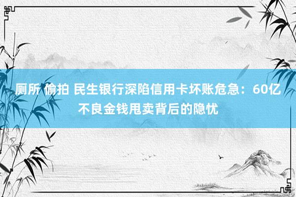 厕所 偷拍 民生银行深陷信用卡坏账危急：60亿不良金钱甩卖背后的隐忧