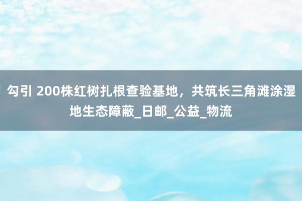 勾引 200株红树扎根查验基地，共筑长三角滩涂湿地生态障蔽_日邮_公益_物流